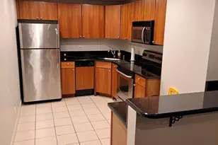 30 E Huron St, Chicago, IL 60611 - Photo 29