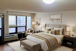 30 E Huron St, Chicago, IL 60611 - Photo 19