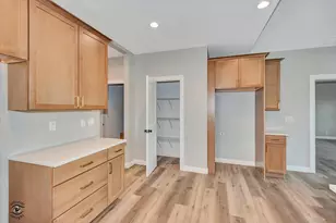 1185 S Farmstone Dr, Diamond, IL 60416 - Photo 15