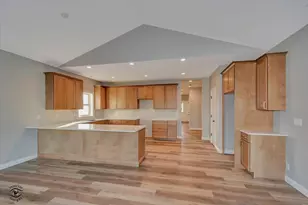 1185 S Farmstone Dr, Diamond, IL 60416 - Photo 9