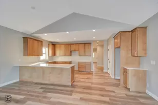 1185 S Farmstone Dr, Diamond, IL 60416 - Photo 9