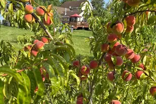 3024 E Brunswick Rd, Beecher, IL 60401 - Photo 31