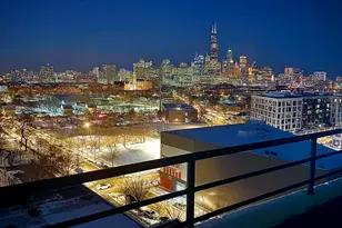 1550 S Blue Island Ave, Chicago, IL 60608 - Photo 3