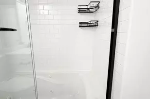 1550 S Blue Island Ave, Chicago, IL 60608 - Photo 9