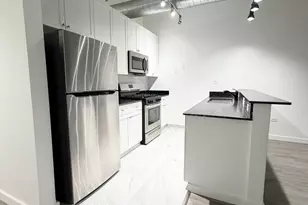 1550 S Blue Island Ave, Chicago, IL 60608 - Photo 17