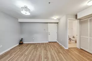 45 E 23rd St, Chicago, IL 60616 - Photo 21