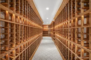 2917 Fox Knoll Ct, Johnsburg, IL 60051 - Photo 41