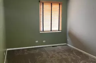 939 Symphony Dr, Aurora, IL 60504 - Photo 19