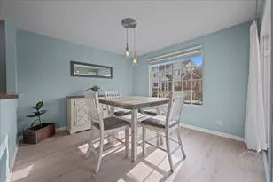 3390 Cameron Dr, Elgin, IL 60124 - Photo 7