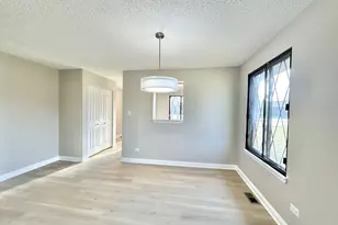 819 Shagbark Rd, New Lenox, IL 60451 - Photo 25