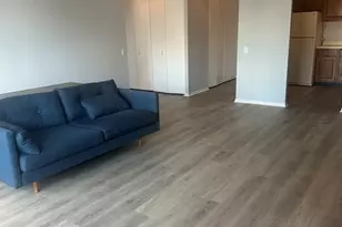 901 S Plymouth Ct, Chicago, IL 60605 - Photo 7