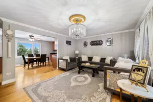 10043 S 84th Ave, Palos Hills, IL 60465 - Photo 3