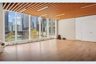 313 W Wolf Point Plaza #1910, Chicago, IL 60654 - Photo 21