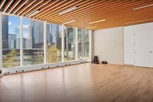 313 W Wolf Point Plaza, Chicago, IL 60654 - Photo 21