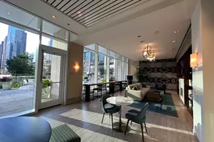 313 W Wolf Point Plaza, Chicago, IL 60654 - Photo 29