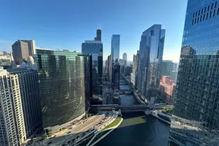 313 W Wolf Point Plaza, Chicago, IL 60654 - Photo 15