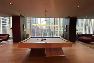 313 W Wolf Point Plaza, Chicago, IL 60654 - Photo 27