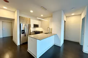 313 W Wolf Point Plaza, Chicago, IL 60654 - Photo 3