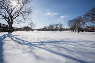 1133 Royal St George Dr, Naperville, IL 60563 - Photo 17