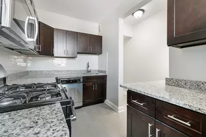 1110 W Glenlake Avenue #1, Chicago, IL 60660 - Photo 5