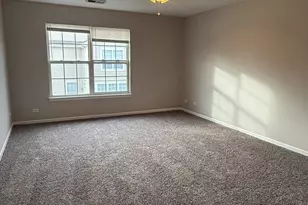 203 W Park Ave, Sugar Grove, IL 60554 - Photo 11