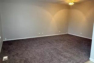 203 W Park Ave, Sugar Grove, IL 60554 - Photo 3