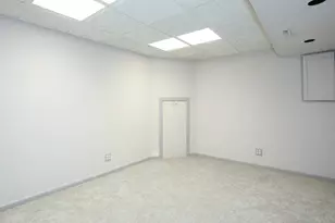 966 N Auburn Woods Dr, Palatine, IL 60067 - Photo 27