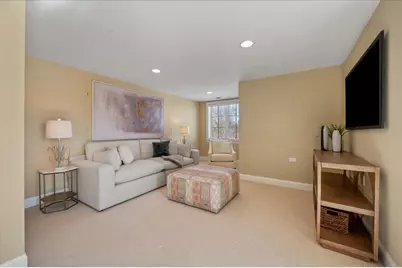 641 Lakeside Drive, Hinsdale, IL 60521 - Photo 53