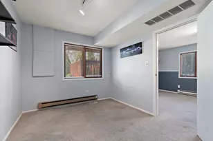 17565 Windsor Pkwy, Tinley Park, IL 60487 - Photo 31