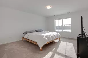 2490 Olivia Ct, Wauconda, IL 60084 - Photo 13