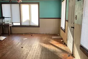 207 S Grove St, Rankin, IL 60960 - Photo 5