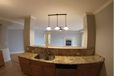 10765 Clocktower Drive #401, Countryside, IL 60525 - Photo 5