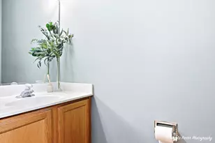 464 Ashford Ln, Grayslake, IL 60030 - Photo 13