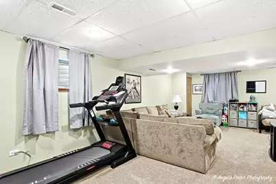 464 Ashford Lane, Grayslake, IL 60030 - Photo 33