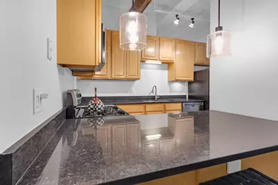 1307 S Wabash Avenue #301, Chicago, IL 60605 - Photo 13