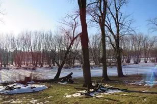 34540 Lakeside Terrace, Wilmington, IL 60481 - Photo 9