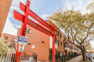 335 W 23rd St, Chicago, IL 60616 - Photo 1