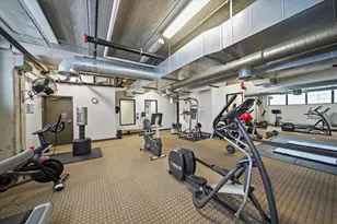 833 W 15th Pl, Chicago, IL 60608 - Photo 23