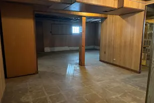 9134 S Paxton Ave, Chicago, IL 60617 - Photo 15