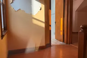 9134 S Paxton Ave, Chicago, IL 60617 - Photo 11