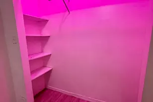 1250 N Springfield St, Chicago, IL 60651 - Photo 5