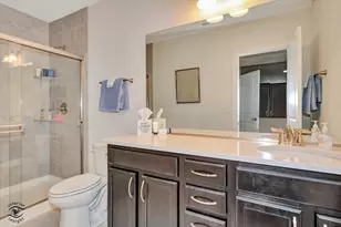 318 Arabian Cir, Willowbrook, IL 60527 - Photo 33