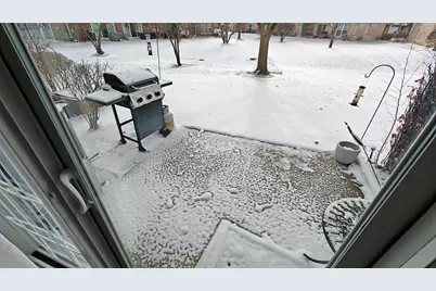 1644 Orchard Avenue #1644, Schaumburg, IL 60193 - Photo 37