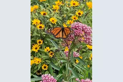 1408 N US Highway 251, Lostant, IL 61334 - Photo 55