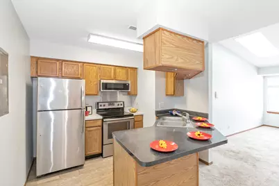 1337 E Wyndham Circle #208, Palatine, IL 60074 - Photo 9