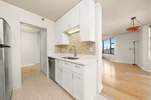 401 E Ontario St, Chicago, IL 60611 - Photo 13