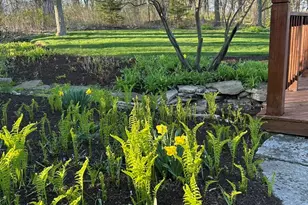 720 South St, Barrington, IL 60010 - Photo 31