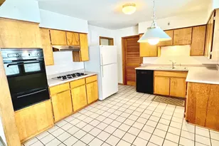 219 William St, New Lenox, IL 60451 - Photo 9