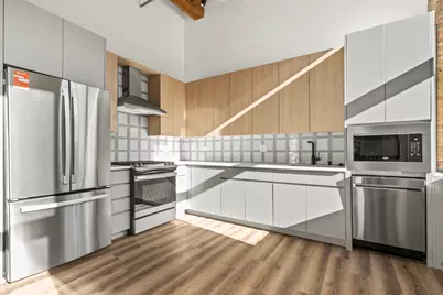 153 W Ohio Street #307, Chicago, IL 60654 - Photo 3