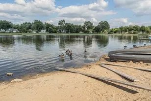 236 Whidah Ct, Schaumburg, IL 60194 - Photo 19